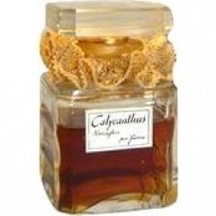 Calycanthus Nuraghes